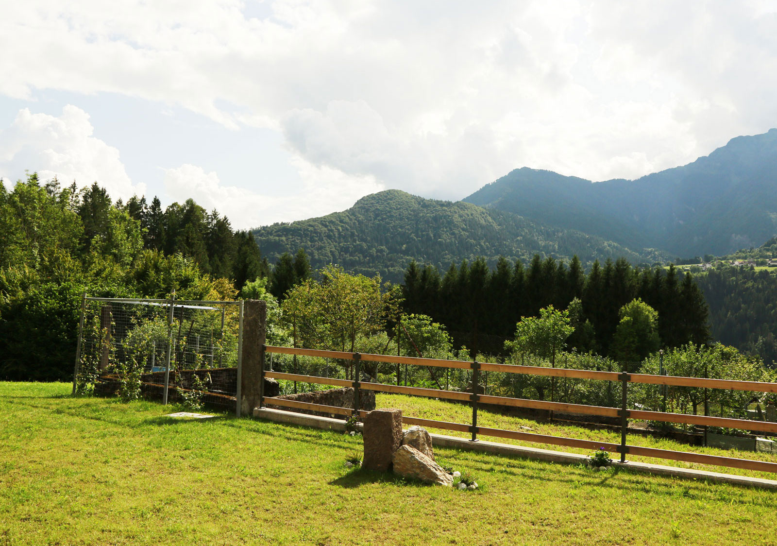 Giardino privato della casa vacanze Chalet Al Cucù a Ovaro, in Friuli venezia giulia